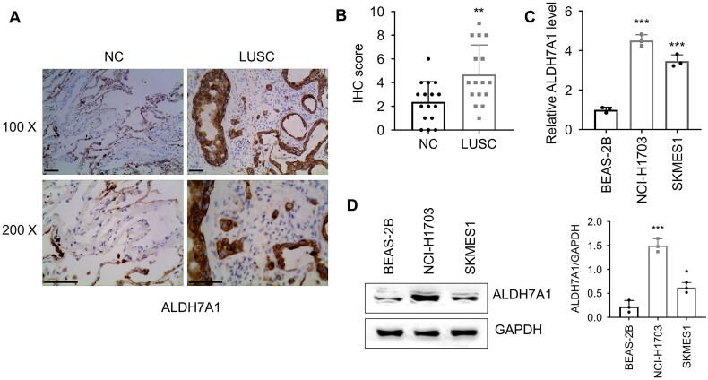 https://cdn.ncbi.nlm.nih.gov/pmc/blobs/6f5d/11703541/e986598b8c48/IANN_A_2442529_F0007_C.jpg