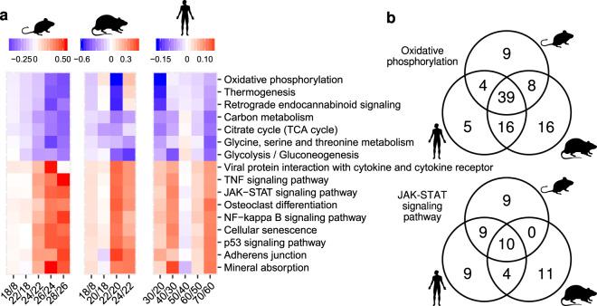 https://cdn.ncbi.nlm.nih.gov/pmc/blobs/6f5d/7881157/01a5e80e88a2/42003_2021_1723_Fig5_HTML.jpg