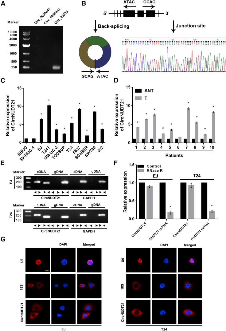 https://cdn.ncbi.nlm.nih.gov/pmc/blobs/6f5d/8517098/6cad592aa717/gr1.jpg