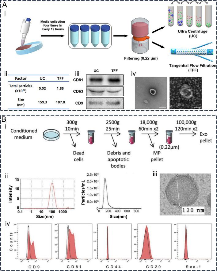 https://cdn.ncbi.nlm.nih.gov/pmc/blobs/6f60/10823703/4e9815b6bf02/12951_2024_2298_Fig4_HTML.jpg
