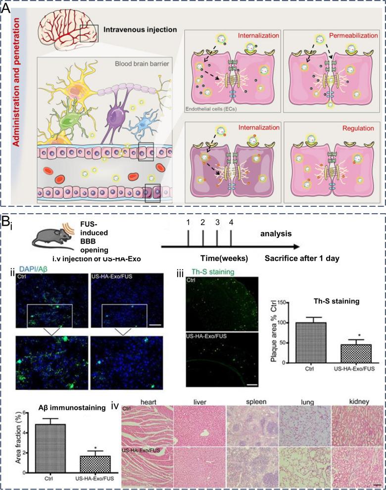 https://cdn.ncbi.nlm.nih.gov/pmc/blobs/6f60/10823703/59305f77e451/12951_2024_2298_Fig11_HTML.jpg