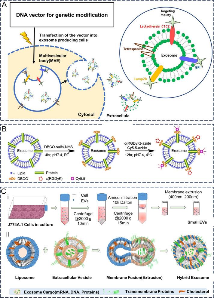 https://cdn.ncbi.nlm.nih.gov/pmc/blobs/6f60/10823703/999cb39c7d85/12951_2024_2298_Fig6_HTML.jpg