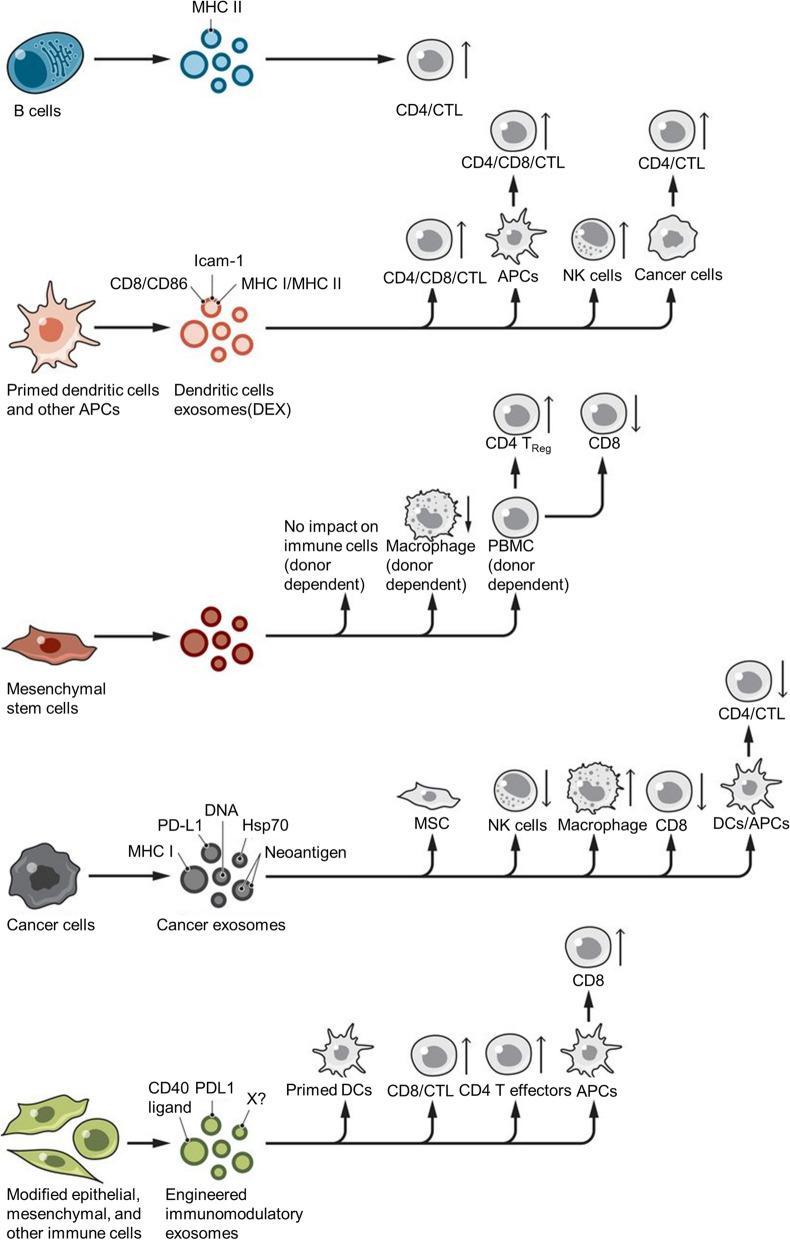 https://cdn.ncbi.nlm.nih.gov/pmc/blobs/6f60/10823703/b778e369d154/12951_2024_2298_Fig2_HTML.jpg