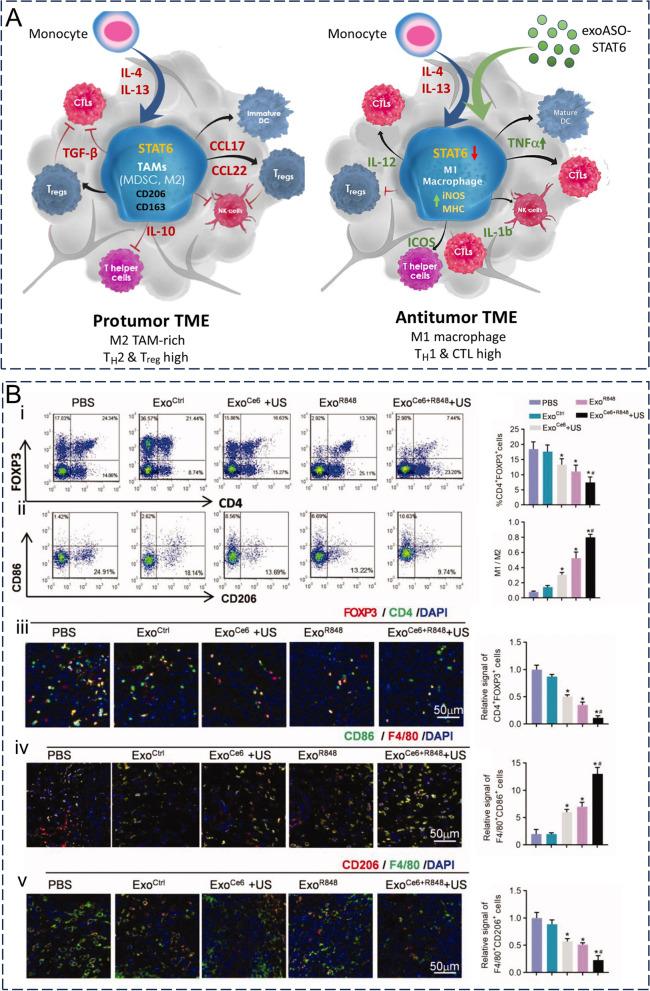 https://cdn.ncbi.nlm.nih.gov/pmc/blobs/6f60/10823703/da27ac04d0dd/12951_2024_2298_Fig12_HTML.jpg