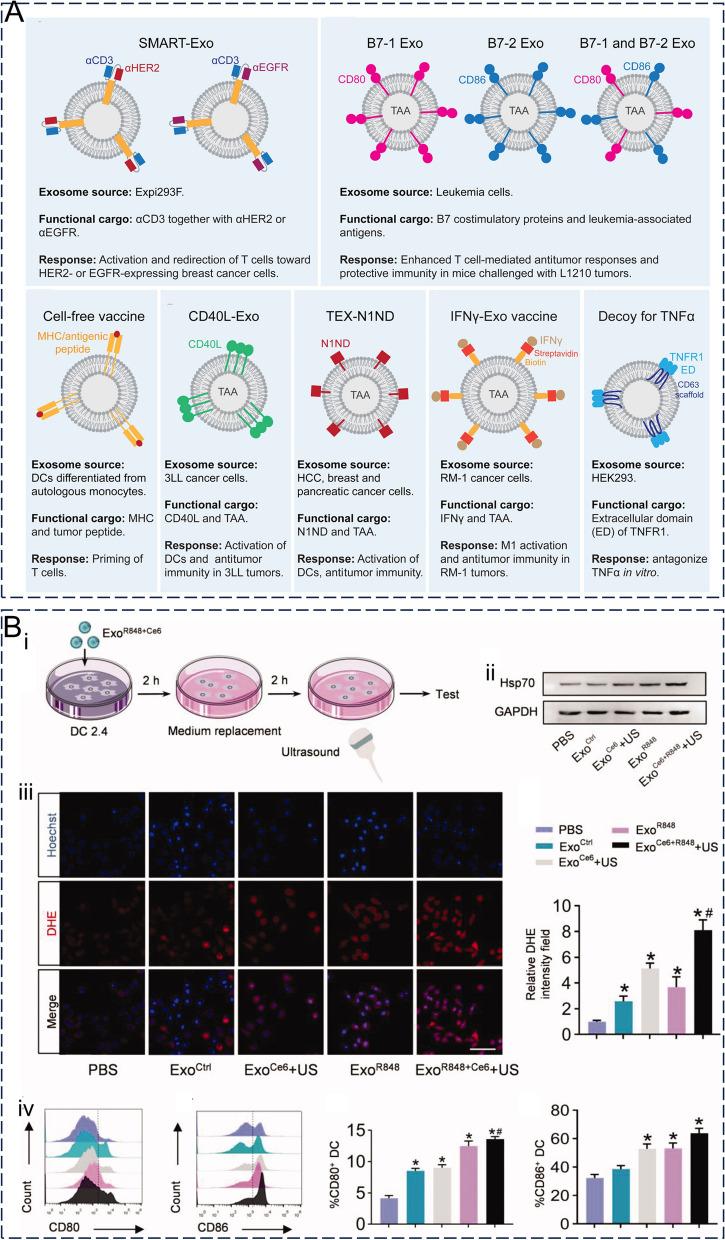 https://cdn.ncbi.nlm.nih.gov/pmc/blobs/6f60/10823703/f7dfd73ccdd7/12951_2024_2298_Fig10_HTML.jpg