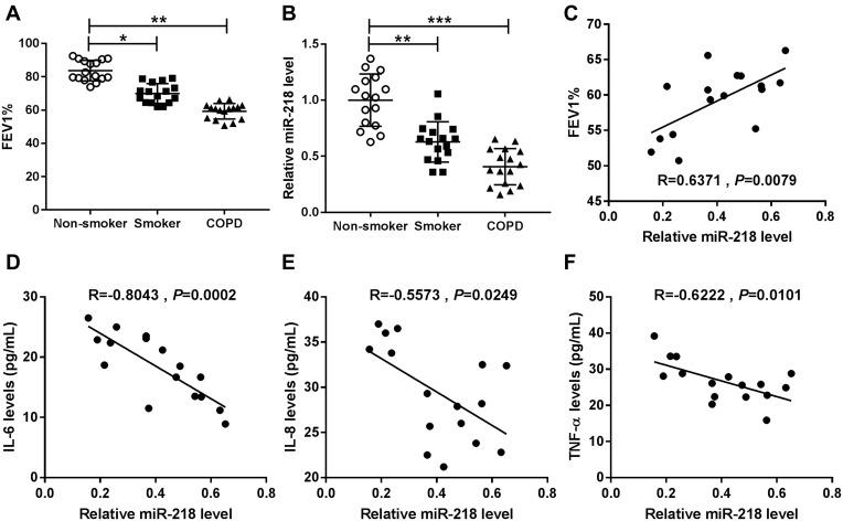 https://cdn.ncbi.nlm.nih.gov/pmc/blobs/6f60/7781039/9fbbe69ddf40/COPD-15-3407-g0001.jpg