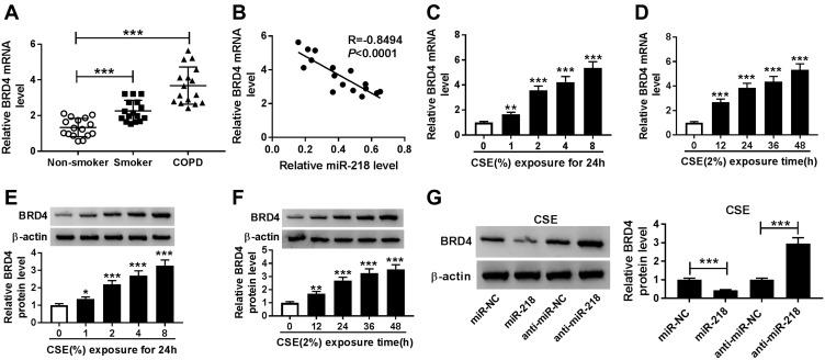 https://cdn.ncbi.nlm.nih.gov/pmc/blobs/6f60/7781039/de4b568ed37f/COPD-15-3407-g0004.jpg