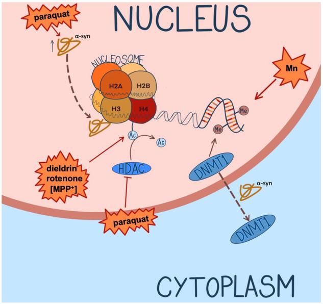 https://cdn.ncbi.nlm.nih.gov/pmc/blobs/6f62/10457362/7c14732cb750/41531_2023_568_Fig2_HTML.jpg