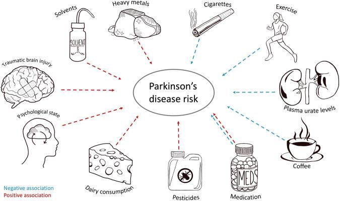 https://cdn.ncbi.nlm.nih.gov/pmc/blobs/6f62/10457362/e1c72b8d2266/41531_2023_568_Fig1_HTML.jpg
