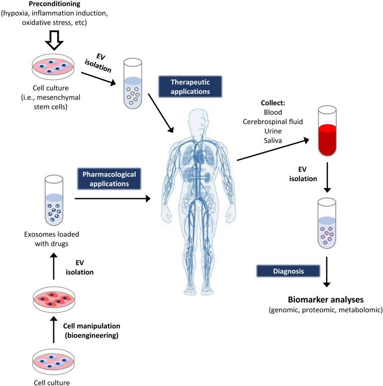 https://cdn.ncbi.nlm.nih.gov/pmc/blobs/6f62/7062641/216d793b6d06/fbioe-08-00146-g003.jpg