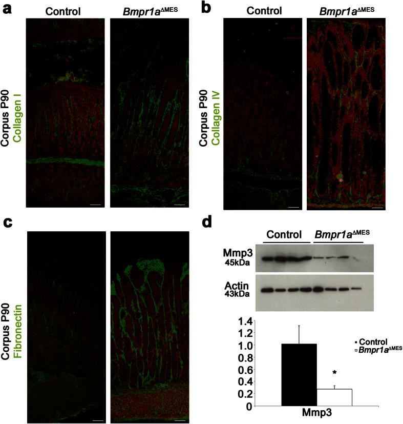 https://cdn.ncbi.nlm.nih.gov/pmc/blobs/6f64/5016723/73450ea71e07/srep32759-f7.jpg