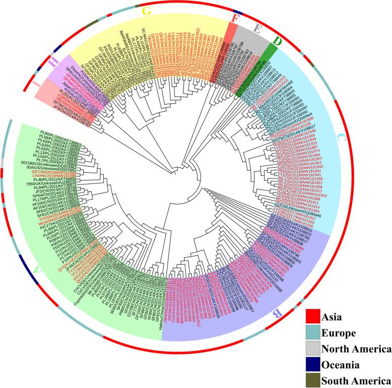 https://cdn.ncbi.nlm.nih.gov/pmc/blobs/6f64/8996659/13f2243bc0a4/12864_2022_8425_Fig4_HTML.jpg