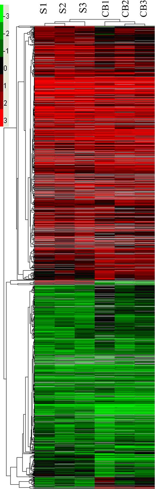 https://cdn.ncbi.nlm.nih.gov/pmc/blobs/6f66/3171500/052742300adb/mv-v17-2386-f2.jpg