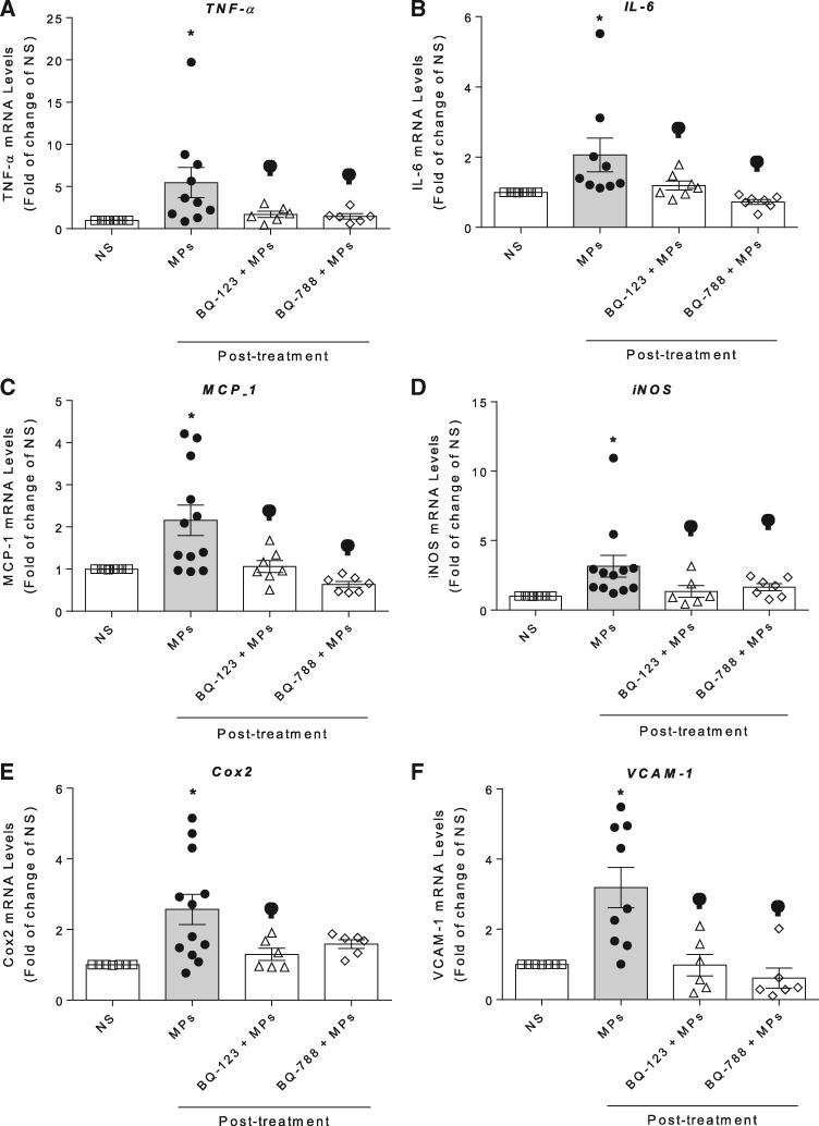 https://cdn.ncbi.nlm.nih.gov/pmc/blobs/6f67/6452312/36c4f5afc649/cvz021f6.jpg