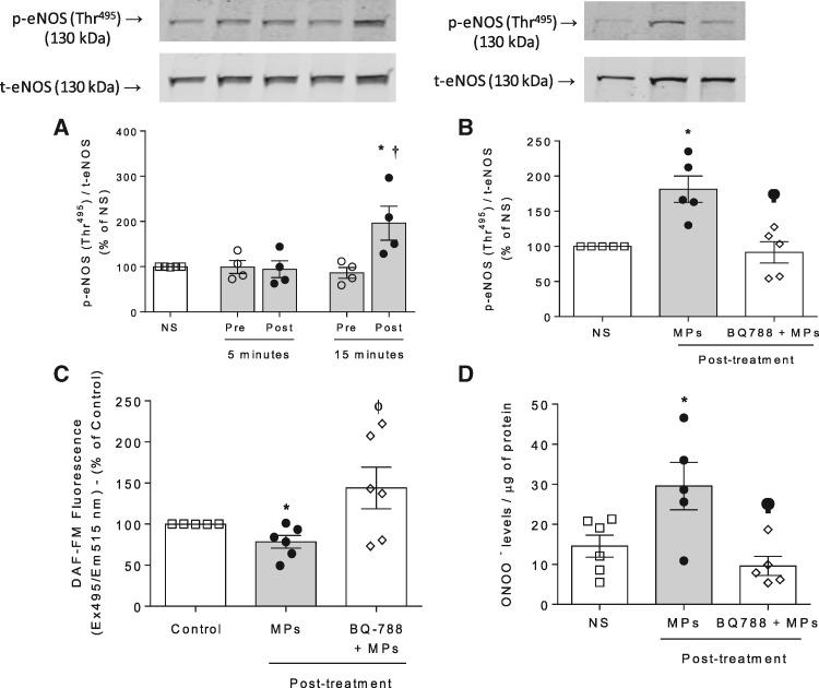 https://cdn.ncbi.nlm.nih.gov/pmc/blobs/6f67/6452312/e19648e5739f/cvz021f5.jpg