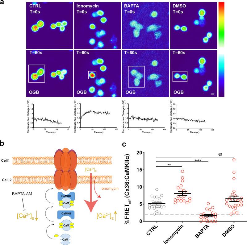 https://cdn.ncbi.nlm.nih.gov/pmc/blobs/6f69/8187354/0c9b3fefce32/42003_2021_2230_Fig3_HTML.jpg