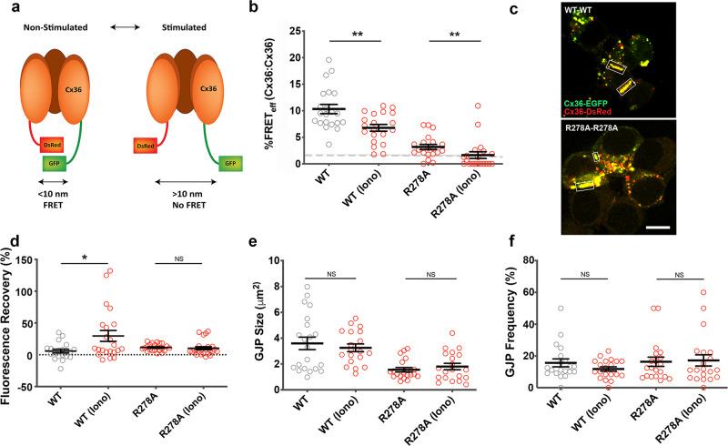https://cdn.ncbi.nlm.nih.gov/pmc/blobs/6f69/8187354/2af1a0f97db0/42003_2021_2230_Fig1_HTML.jpg