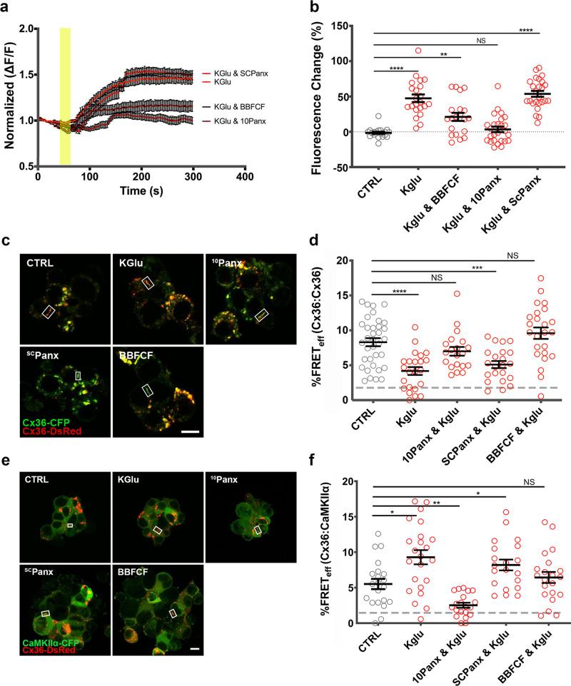 https://cdn.ncbi.nlm.nih.gov/pmc/blobs/6f69/8187354/41e3b5f316b6/42003_2021_2230_Fig5_HTML.jpg
