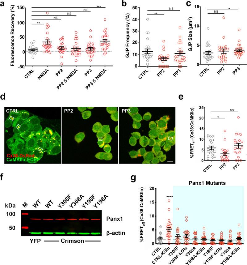 https://cdn.ncbi.nlm.nih.gov/pmc/blobs/6f69/8187354/479897255f57/42003_2021_2230_Fig7_HTML.jpg