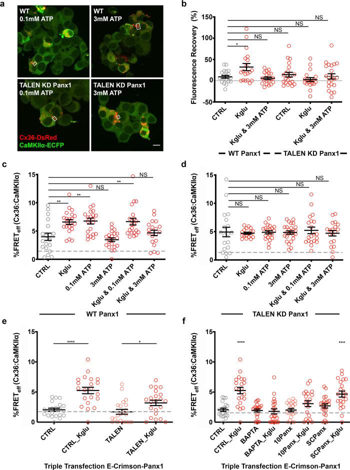 https://cdn.ncbi.nlm.nih.gov/pmc/blobs/6f69/8187354/7365becb441b/42003_2021_2230_Fig6_HTML.jpg