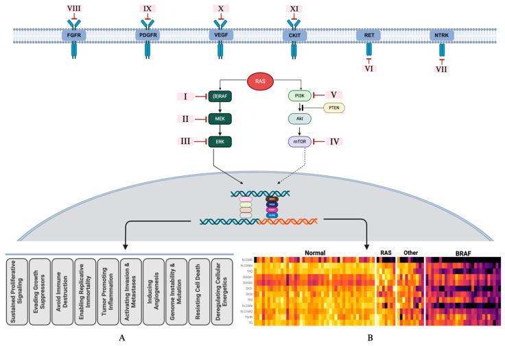 https://cdn.ncbi.nlm.nih.gov/pmc/blobs/6f6d/11242418/d97bf6b2b8e4/jcm-13-03645-g002.jpg