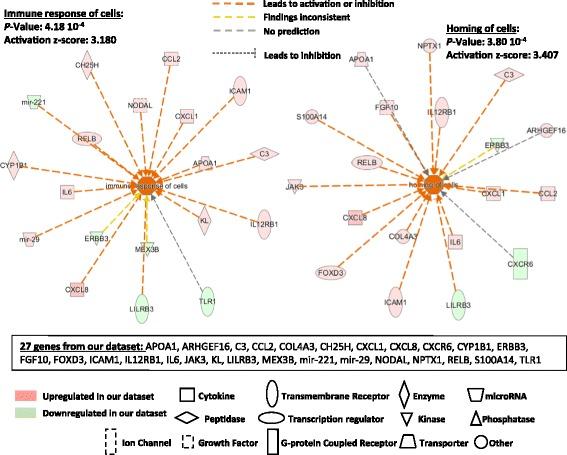 https://cdn.ncbi.nlm.nih.gov/pmc/blobs/6f6d/5681771/386fd819d4a7/12931_2017_669_Fig2_HTML.jpg