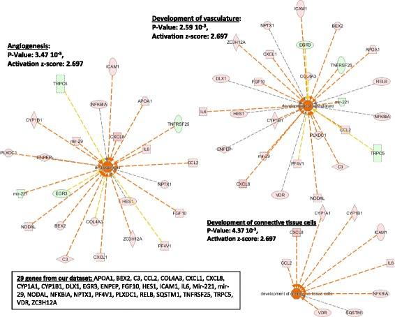 https://cdn.ncbi.nlm.nih.gov/pmc/blobs/6f6d/5681771/96ad091e86b8/12931_2017_669_Fig3_HTML.jpg