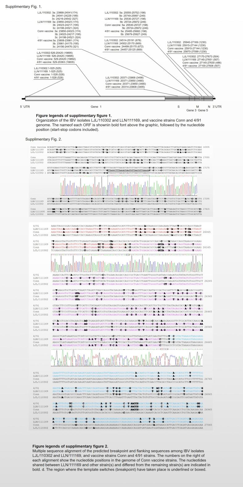 https://cdn.ncbi.nlm.nih.gov/pmc/blobs/6f6d/7587649/904c80eaa9af/figs1.jpg