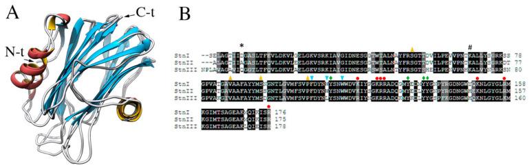 https://cdn.ncbi.nlm.nih.gov/pmc/blobs/6f6d/7727798/7c74f1664b52/ijms-21-08915-g006.jpg
