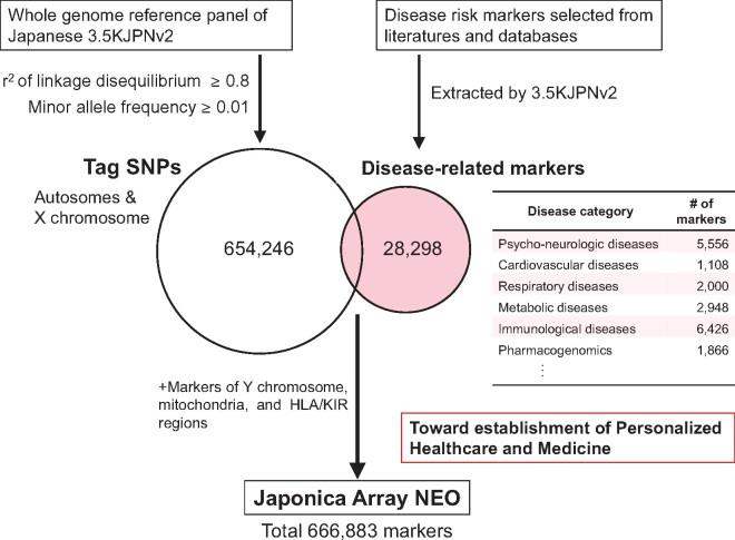 https://cdn.ncbi.nlm.nih.gov/pmc/blobs/6f6e/8510329/c1d3e6fdad20/mvab060f5.jpg