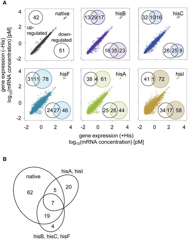 https://cdn.ncbi.nlm.nih.gov/pmc/blobs/6f70/4333410/dc004729231e/gku1366fig4.jpg