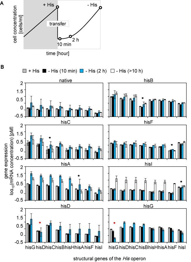 https://cdn.ncbi.nlm.nih.gov/pmc/blobs/6f70/4333410/f4434c3dd1cc/gku1366fig5.jpg