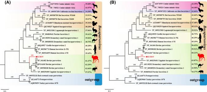 https://cdn.ncbi.nlm.nih.gov/pmc/blobs/6f70/8590863/893049e9c5ac/705_2021_5308_Fig2_HTML.jpg