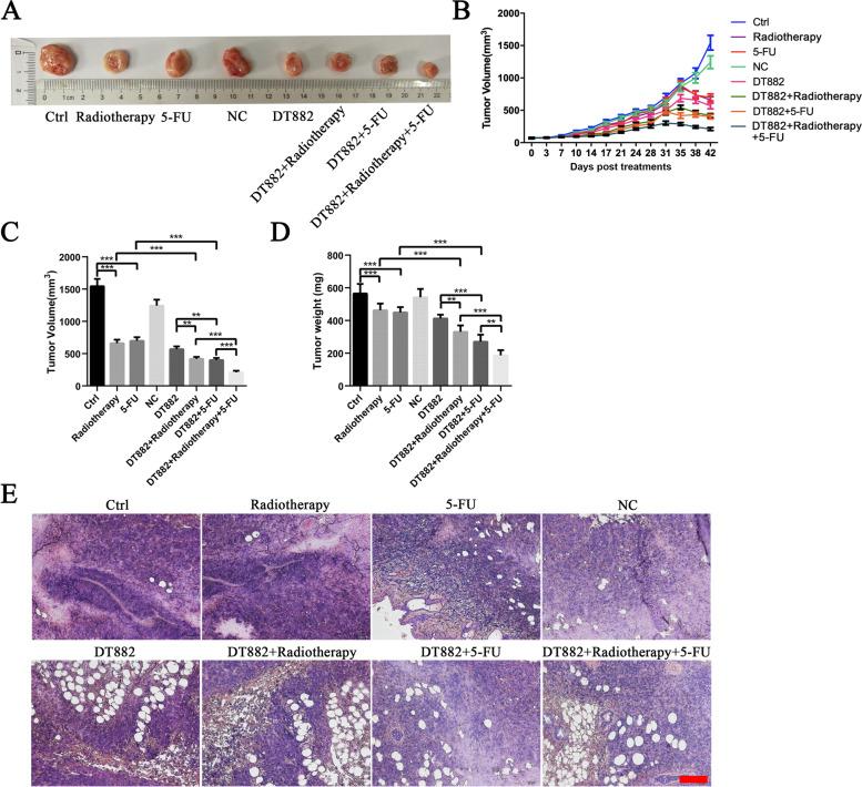 https://cdn.ncbi.nlm.nih.gov/pmc/blobs/6f70/8817578/1b62403f9738/40360_2022_553_Fig7_HTML.jpg