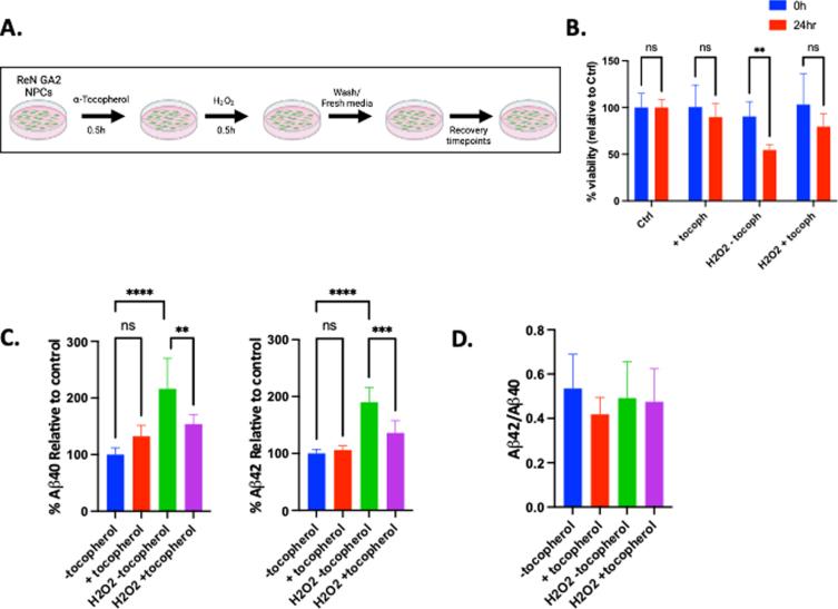 https://cdn.ncbi.nlm.nih.gov/pmc/blobs/6f71/9277680/7c8b770314eb/jad-88-jad220030-g001.jpg