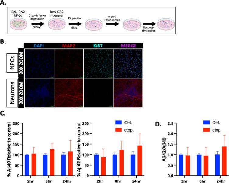 https://cdn.ncbi.nlm.nih.gov/pmc/blobs/6f71/9277680/a03aca43cb79/jad-88-jad220030-g004.jpg