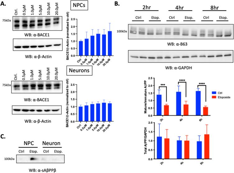 https://cdn.ncbi.nlm.nih.gov/pmc/blobs/6f71/9277680/a7b8f4ba0f85/jad-88-jad220030-g003.jpg
