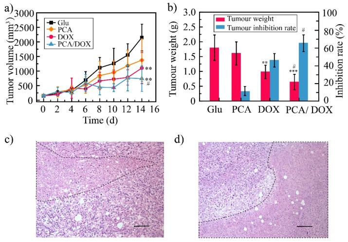 https://cdn.ncbi.nlm.nih.gov/pmc/blobs/6f73/9506429/65b82a02e3c5/pharmaceutics-14-01765-g006.jpg