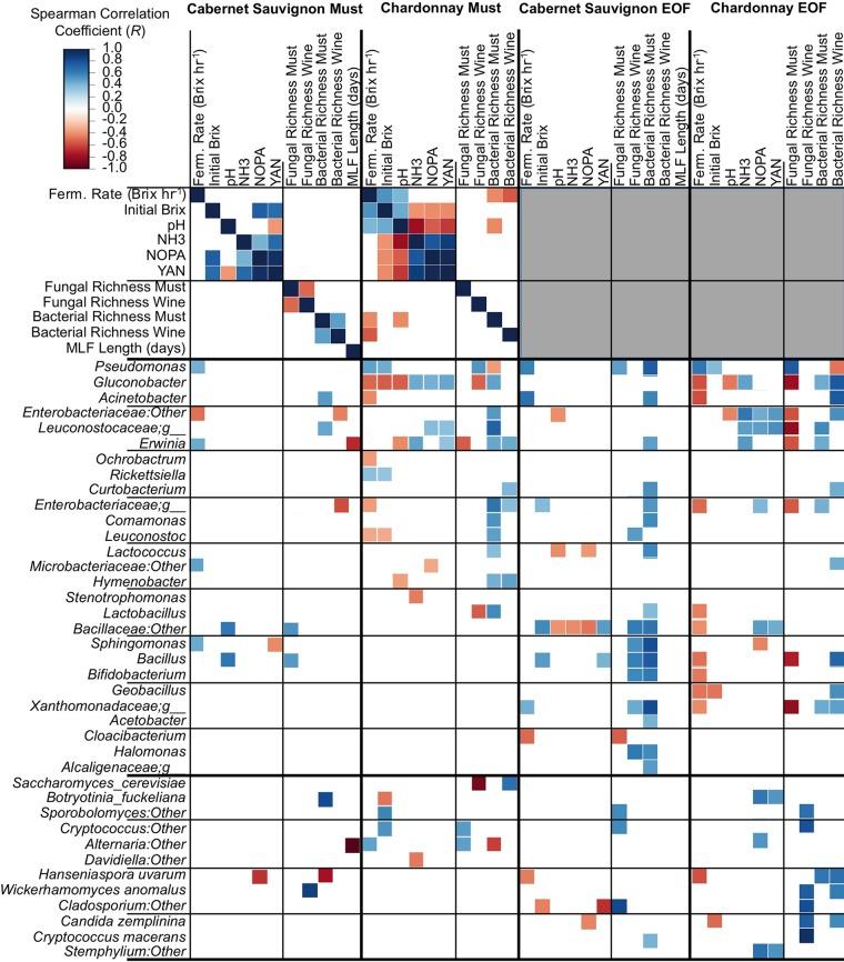 https://cdn.ncbi.nlm.nih.gov/pmc/blobs/6f74/4959672/8cc708748394/mbo0031628410007.jpg