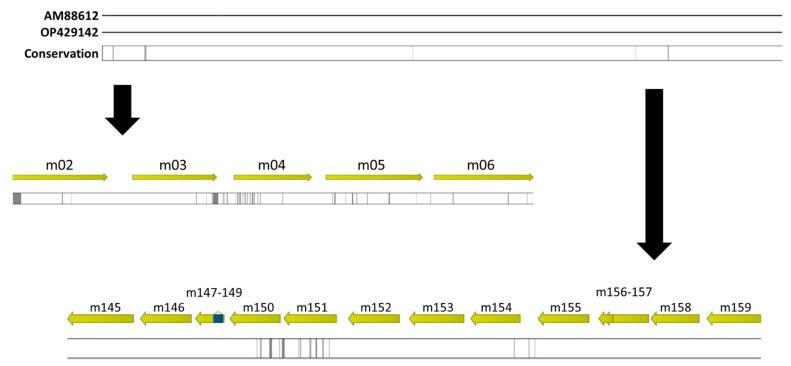 https://cdn.ncbi.nlm.nih.gov/pmc/blobs/6f75/10531225/a58f4d20ae7f/ijms-24-14102-g001.jpg