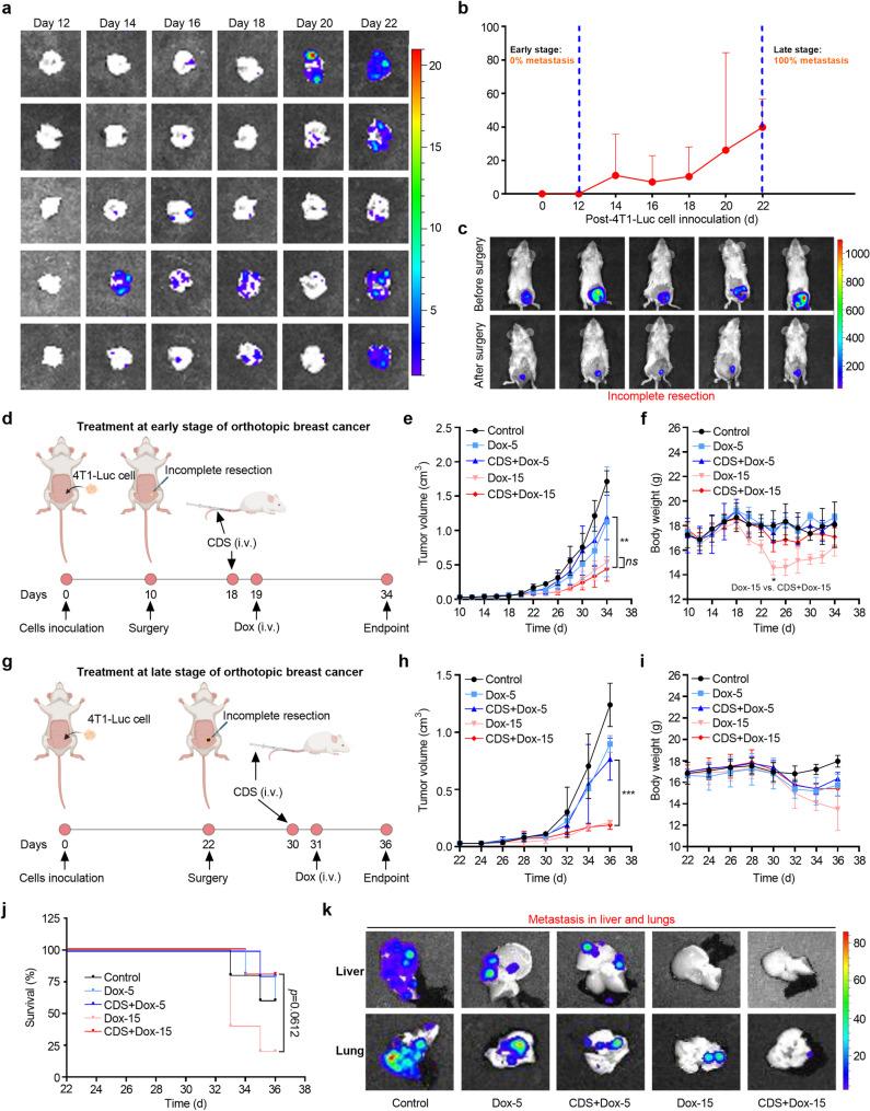 https://cdn.ncbi.nlm.nih.gov/pmc/blobs/6f75/12211420/3b46bbd16aec/12951_2025_3571_Fig3_HTML.jpg