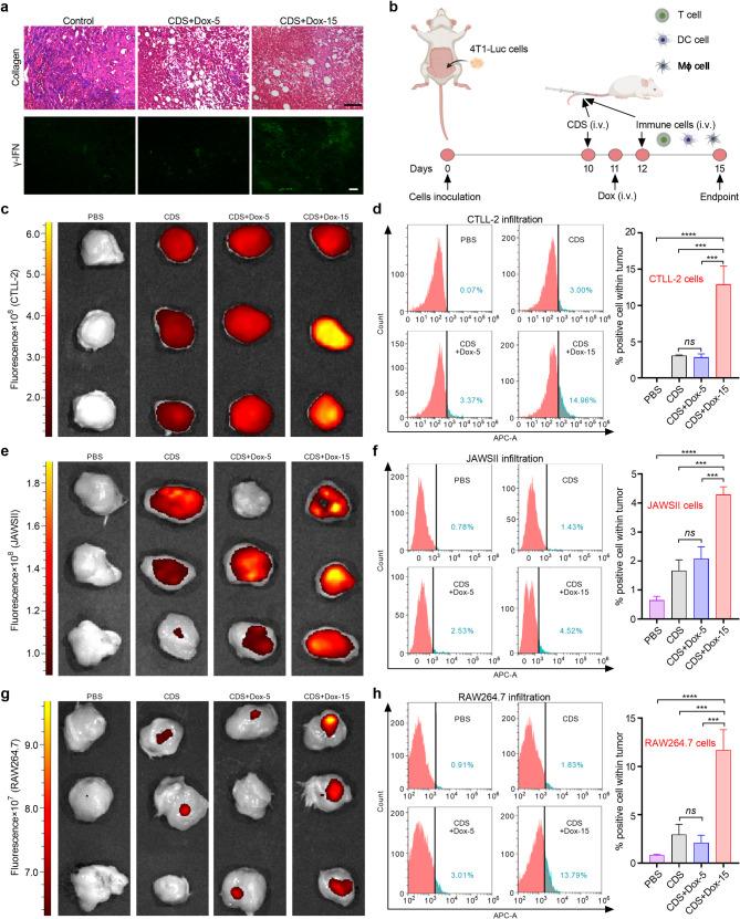 https://cdn.ncbi.nlm.nih.gov/pmc/blobs/6f75/12211420/f97f1c70336e/12951_2025_3571_Fig5_HTML.jpg