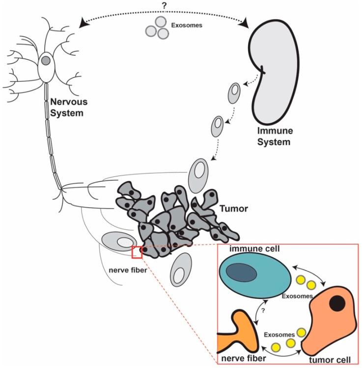 https://cdn.ncbi.nlm.nih.gov/pmc/blobs/6f76/7693842/6f44ca581cd9/jcm-09-03529-g001.jpg