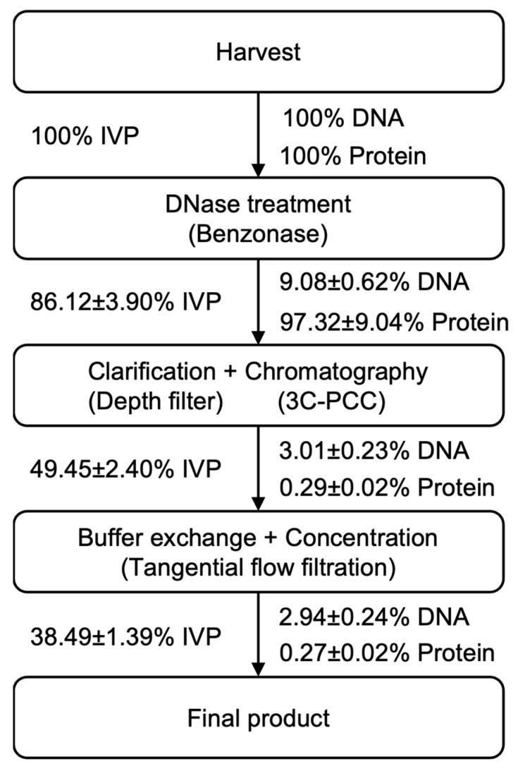 https://cdn.ncbi.nlm.nih.gov/pmc/blobs/6f79/10143285/dbd0f8945351/vaccines-11-00841-g006.jpg