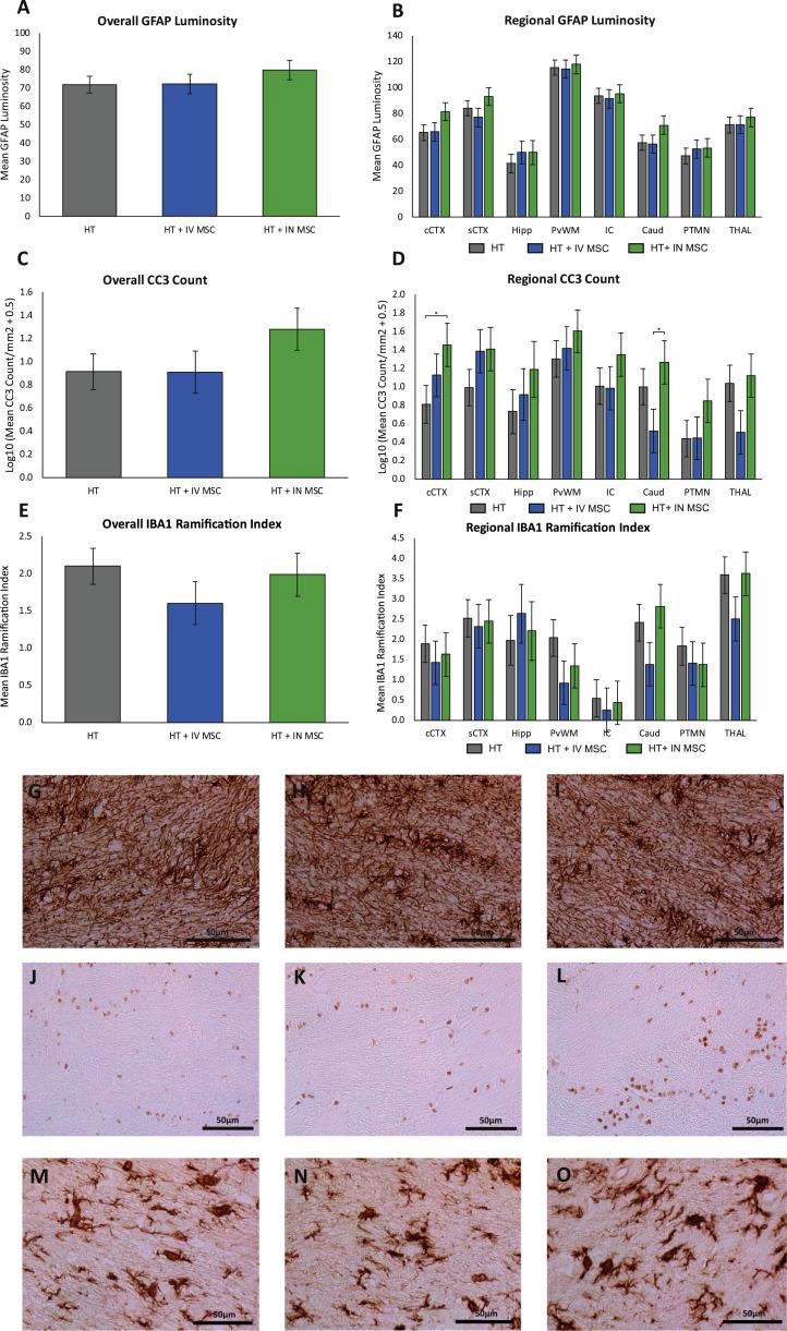 https://cdn.ncbi.nlm.nih.gov/pmc/blobs/6f79/8139415/145625d936d8/gr5.jpg