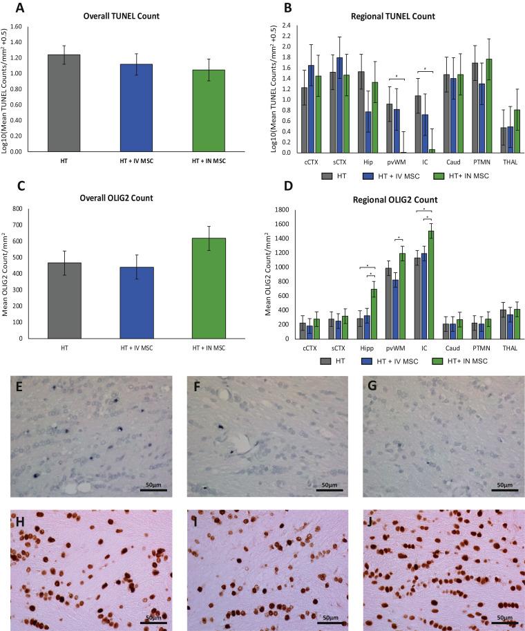 https://cdn.ncbi.nlm.nih.gov/pmc/blobs/6f79/8139415/62c1e1484eaf/gr4.jpg
