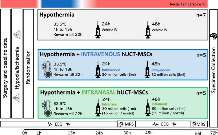 https://cdn.ncbi.nlm.nih.gov/pmc/blobs/6f79/8139415/689561cf1f9e/gr1.jpg