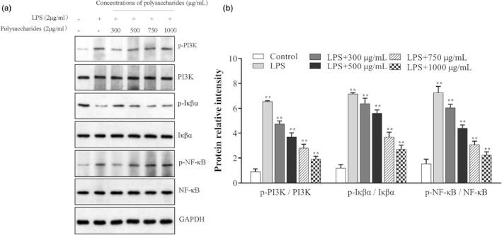 https://cdn.ncbi.nlm.nih.gov/pmc/blobs/6f79/9007286/9f44274370ba/FSN3-10-1093-g006.jpg