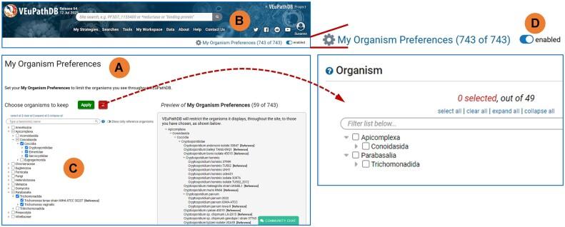 https://cdn.ncbi.nlm.nih.gov/pmc/blobs/6f7a/10767879/810e6e4b6139/gkad1003fig3.jpg