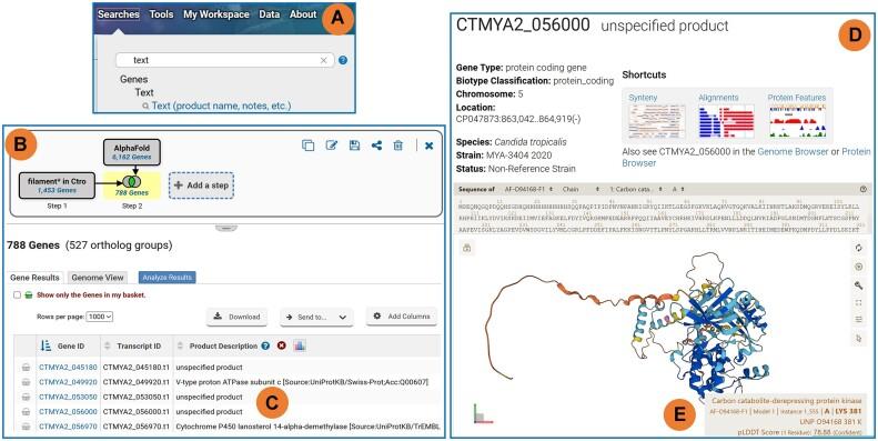 https://cdn.ncbi.nlm.nih.gov/pmc/blobs/6f7a/10767879/da92c10b6815/gkad1003fig2.jpg